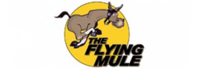 The Flying Mule