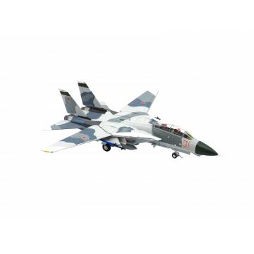 1/72 F-14A VF-126 Red 31 'Tomcatsky' BuNo 159855